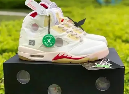 Air Jordan 5