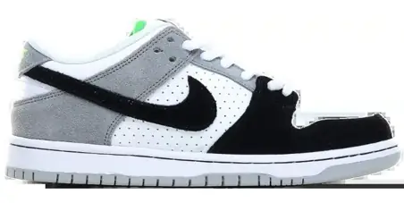 Nike Dunk Sneakers