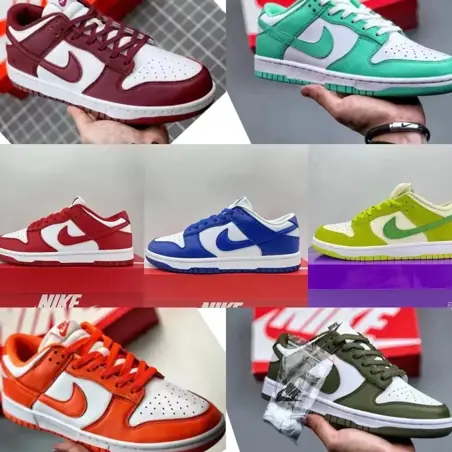 Nike Dunk Sneakers