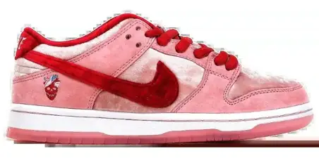 Nike Dunk Sneakers