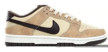 Nike Dunk Sneakers